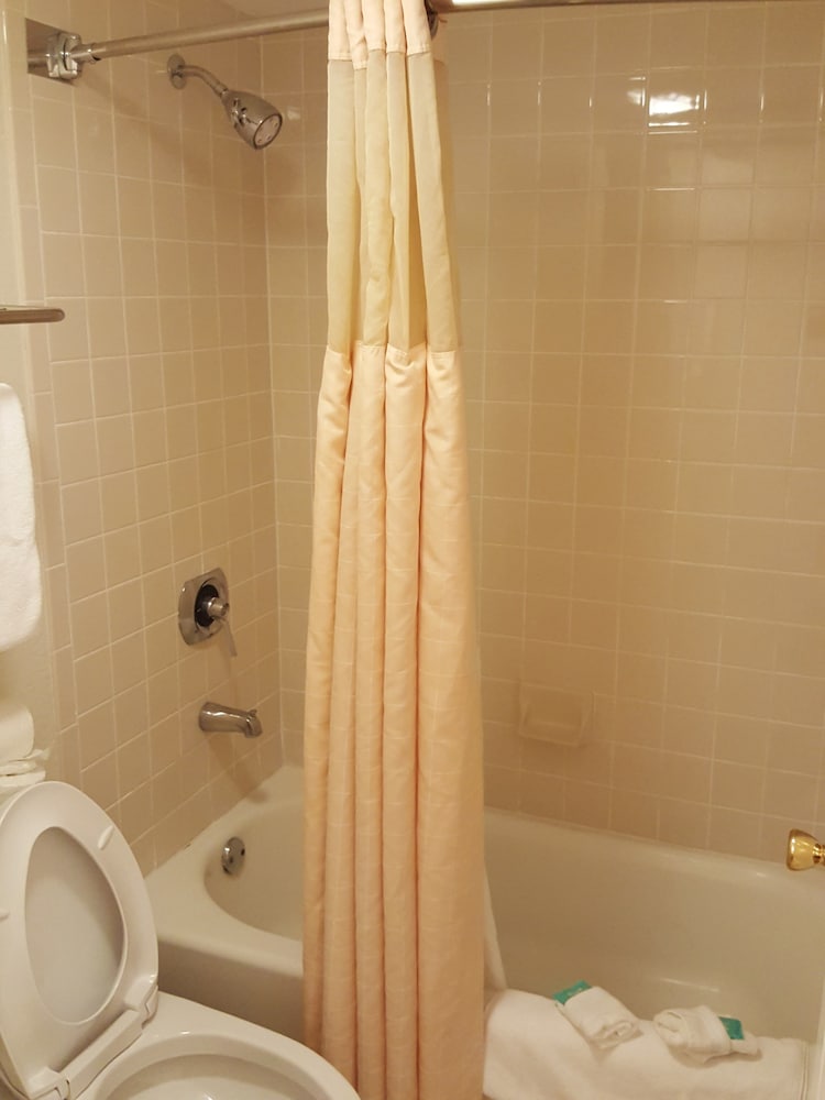 Garden Inn Homestead 52/81