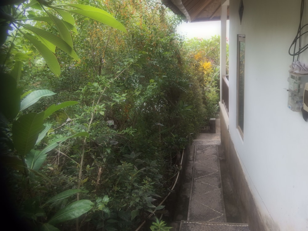 Bukit Indah Home Stay 38/50