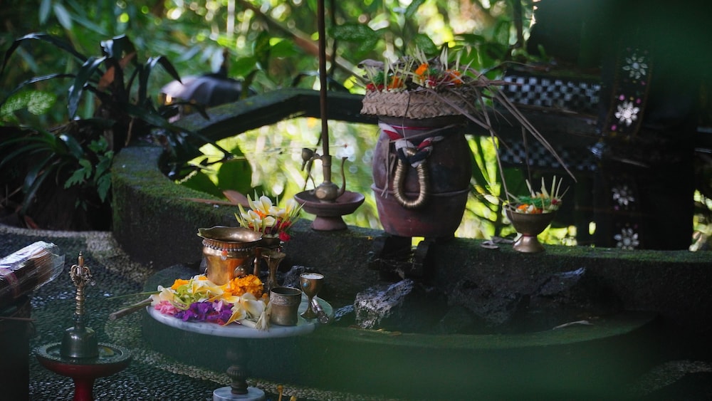 The Jungle Pots 17/50