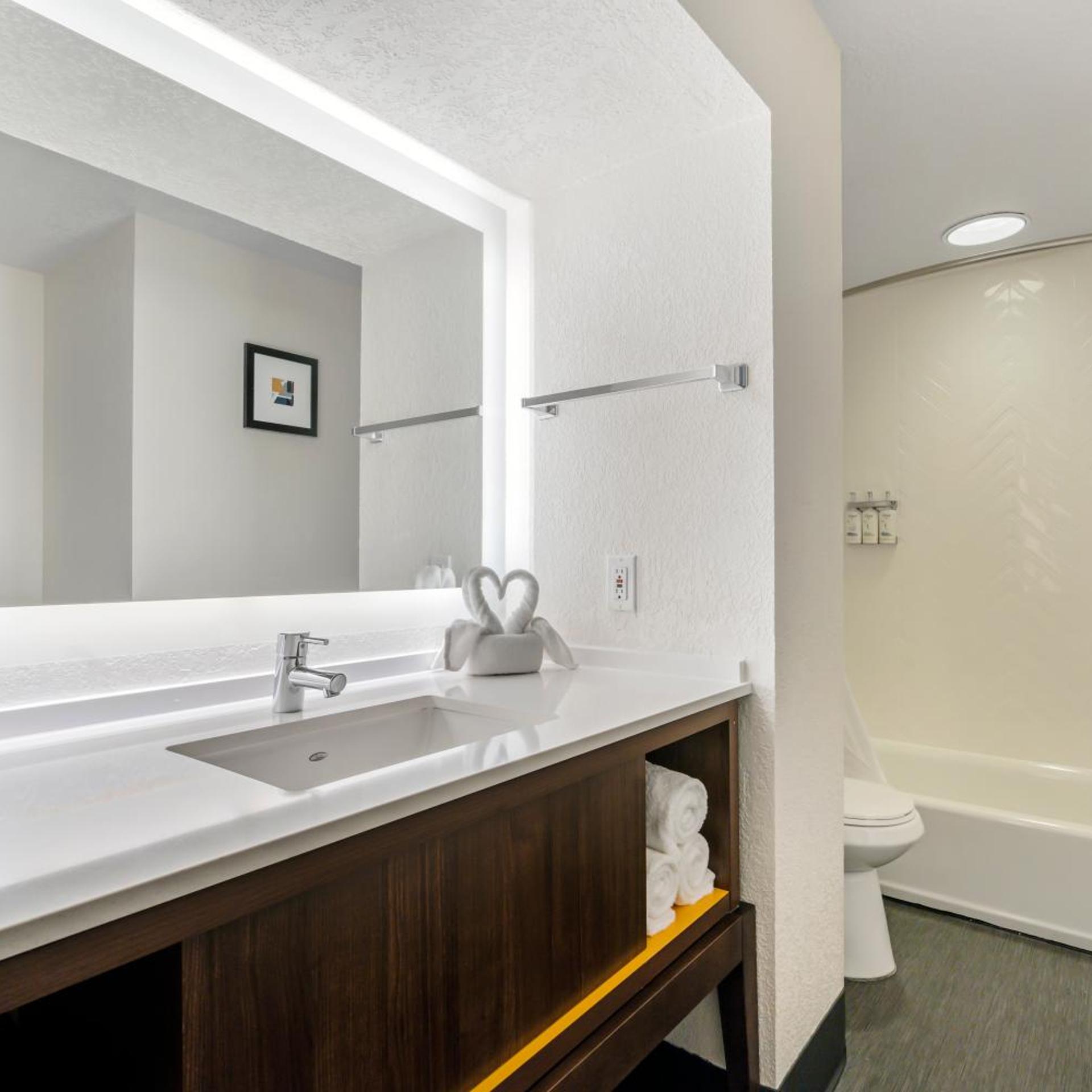 غرفة قياسية بسرير كينج، Holiday Inn Orlando Intl Drive - Conv Center 10/10
