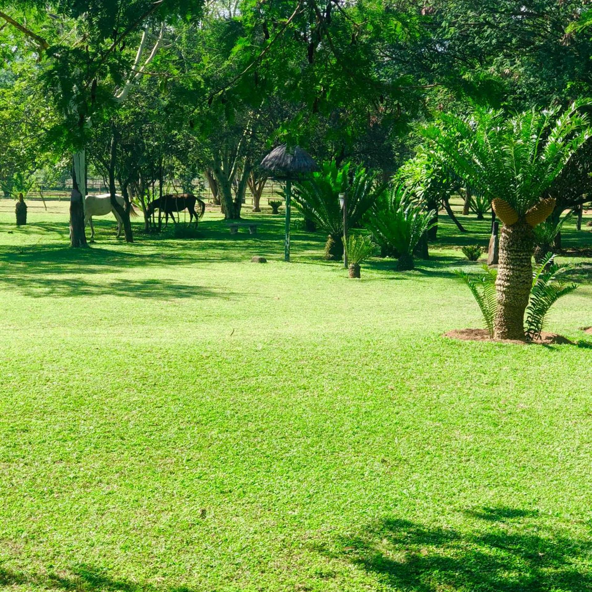 Jock of the Bushveld Chalets 43/50