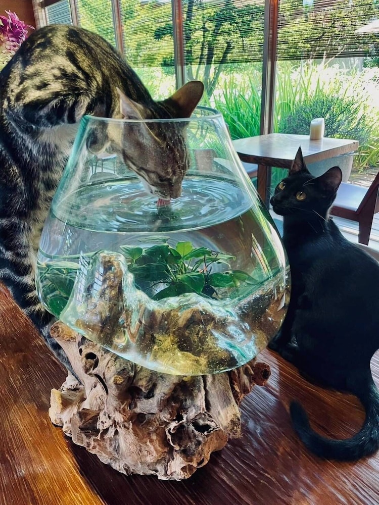 リーコ ホテルズ 写真5