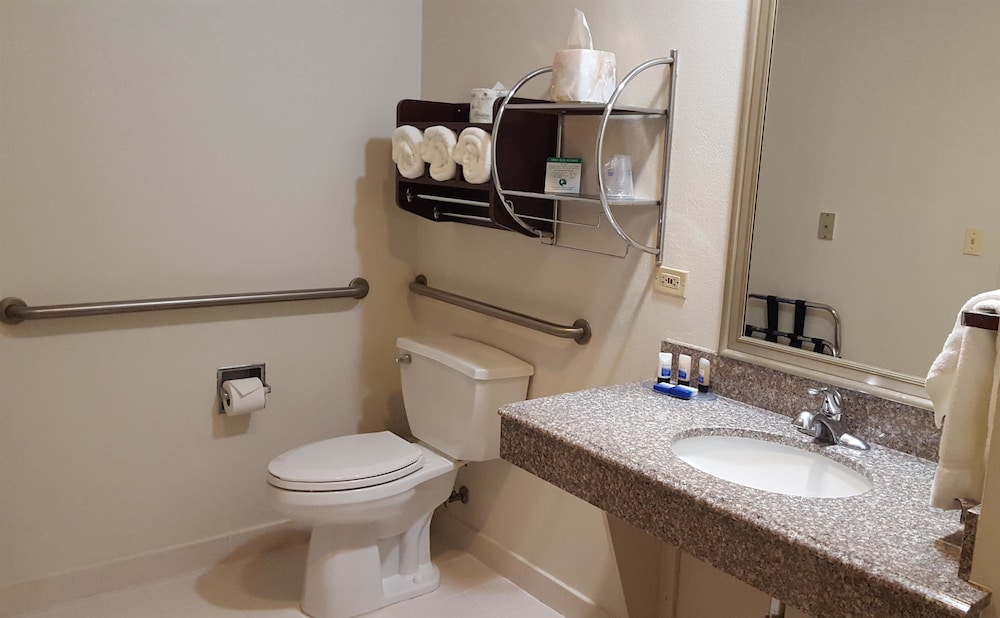 Best Western Plus O'Hare International South Hotel 17/31