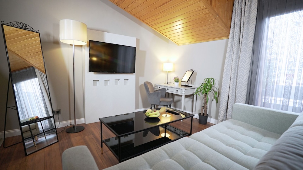 Homey Airport Hotel 32/50