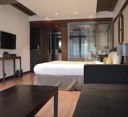 Grand, Orchid