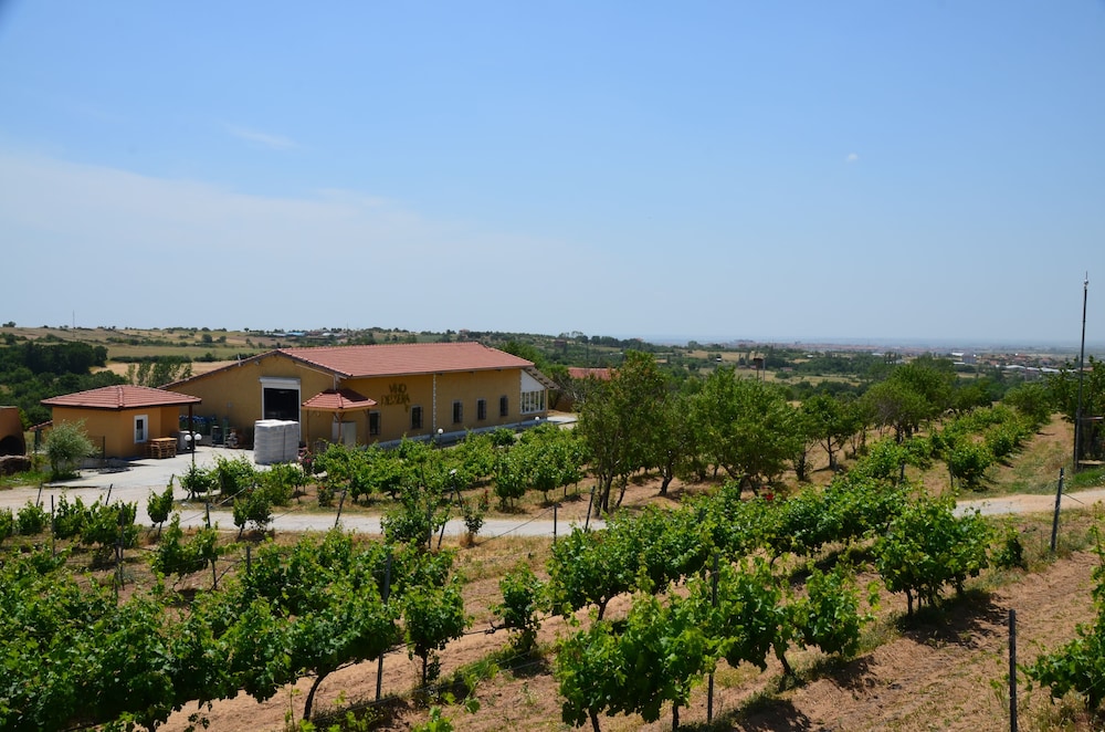 Dessera Vineyards Hotel 34/40