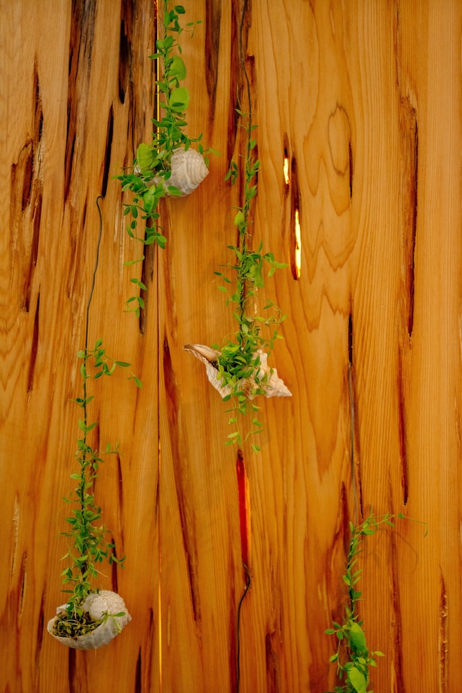 Bay Forest Boutique Hotel 65/72