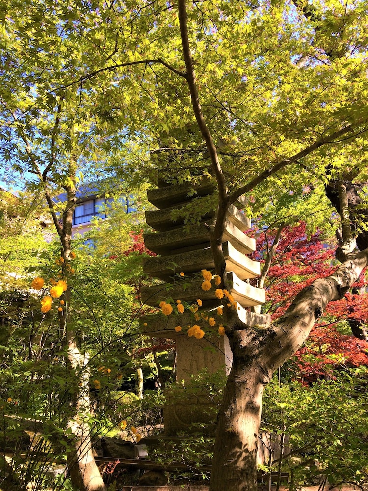 Ryokan Nenrinbo 38/50