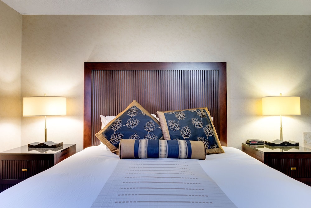 Fireside Inn & Suites 38/88