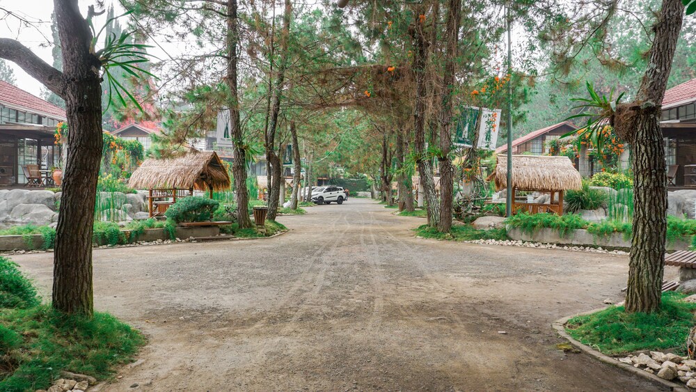 Vila Air Natural Resort 38/50