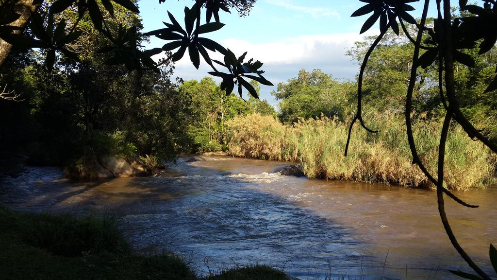 Gecko Lodge 78/86