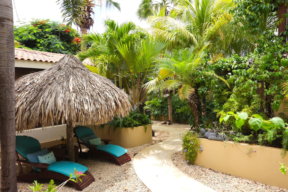 Bamboo Bonaire Boutique Resort 47/50
