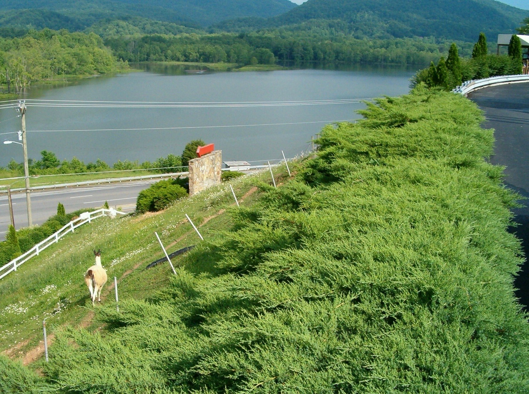 Hampton Inn Caryville-I-75/Cove Lake-State Park 77/84