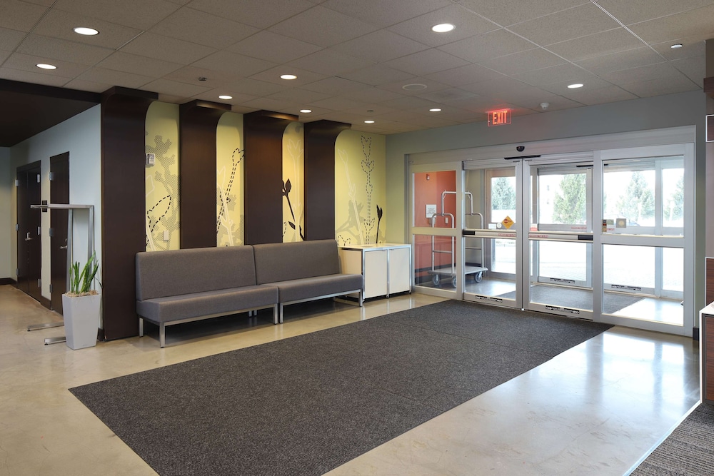 Tulyp, Tapestry Collection by Hilton 8/48