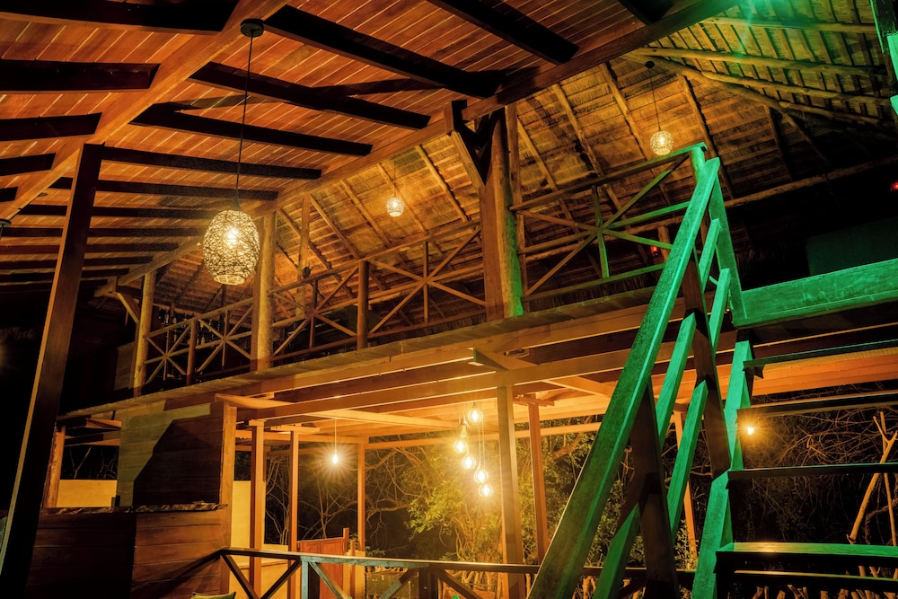 Leopard Nest Luxury Campsite 26/50