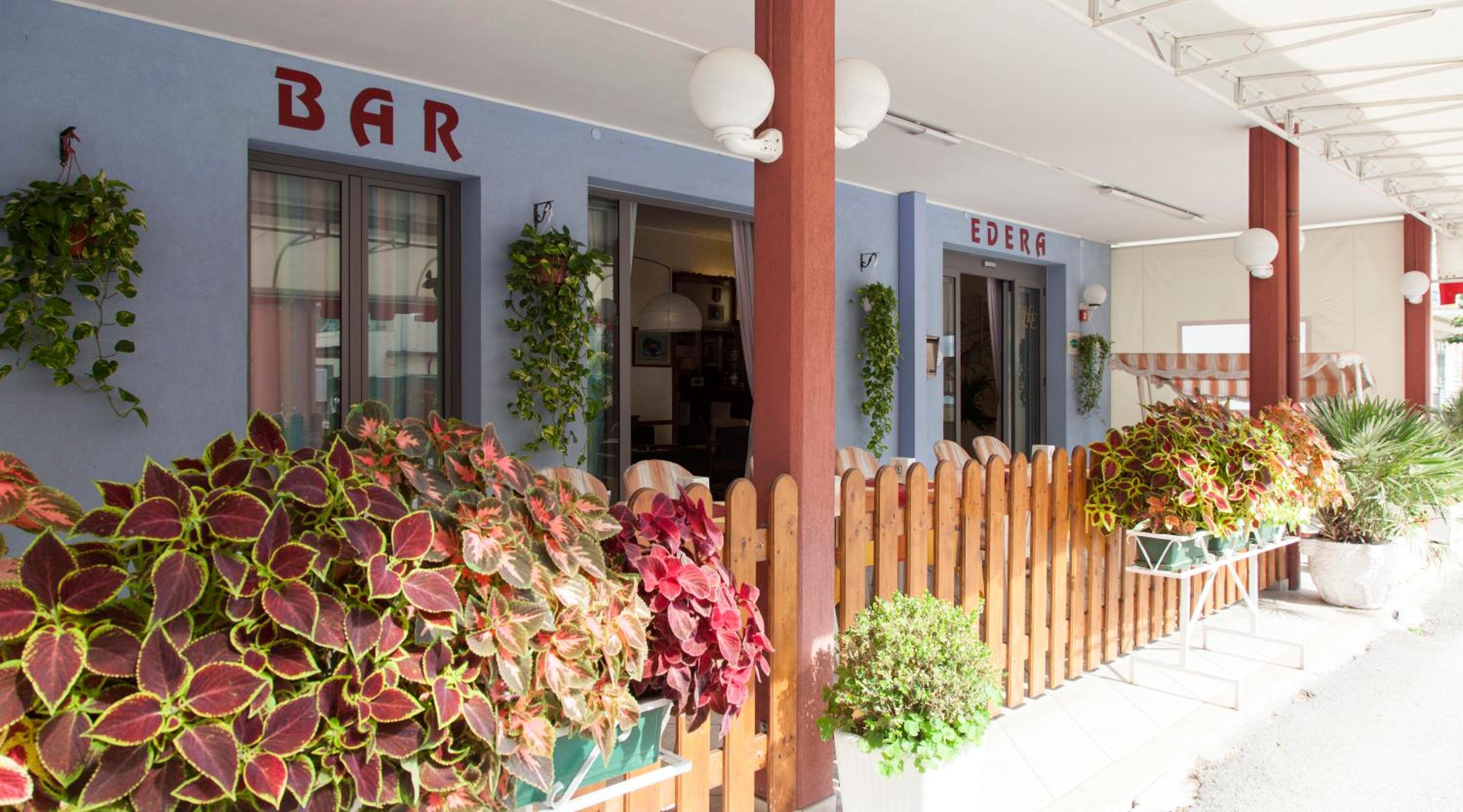 Hotel Edera 2/50