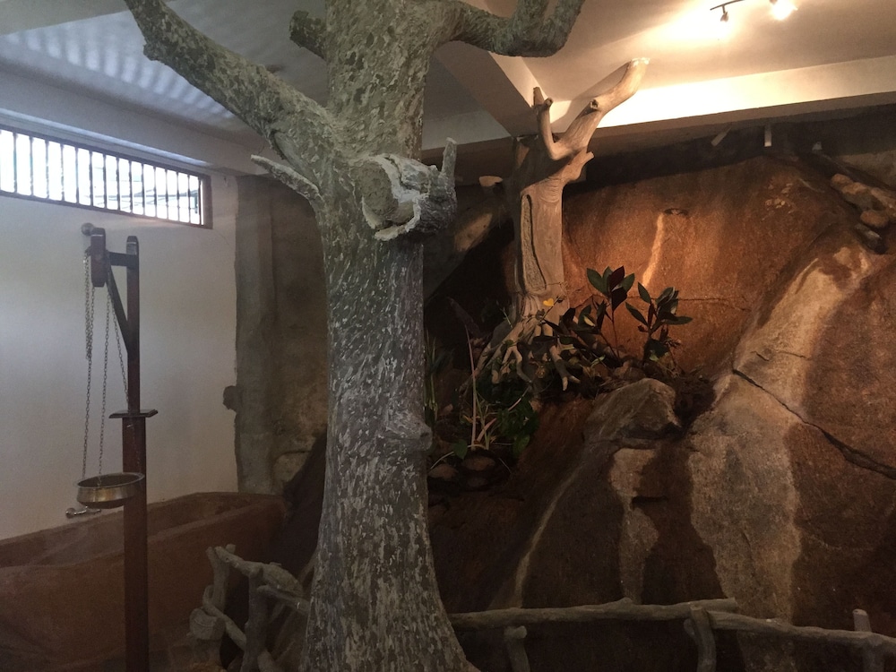Rainforest Lodge 32/50