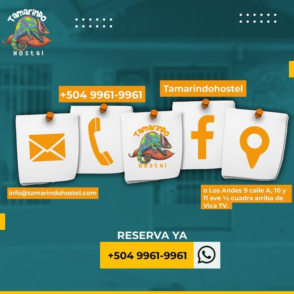 Tamarindo hostel 7/50