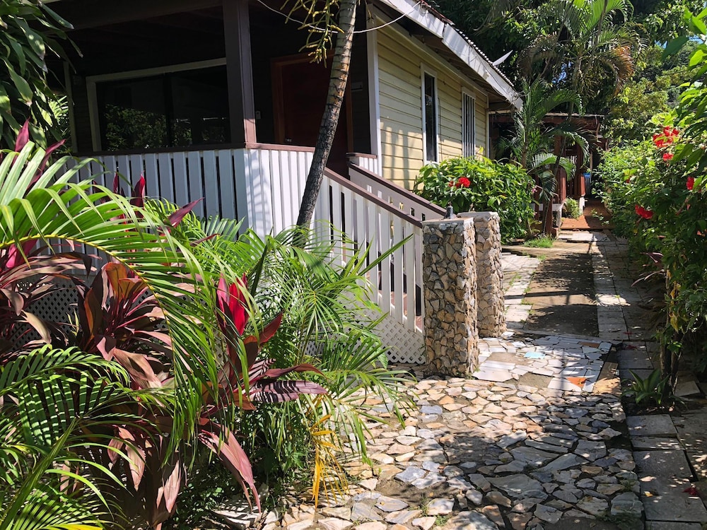 Coconut Tree West End 44/54