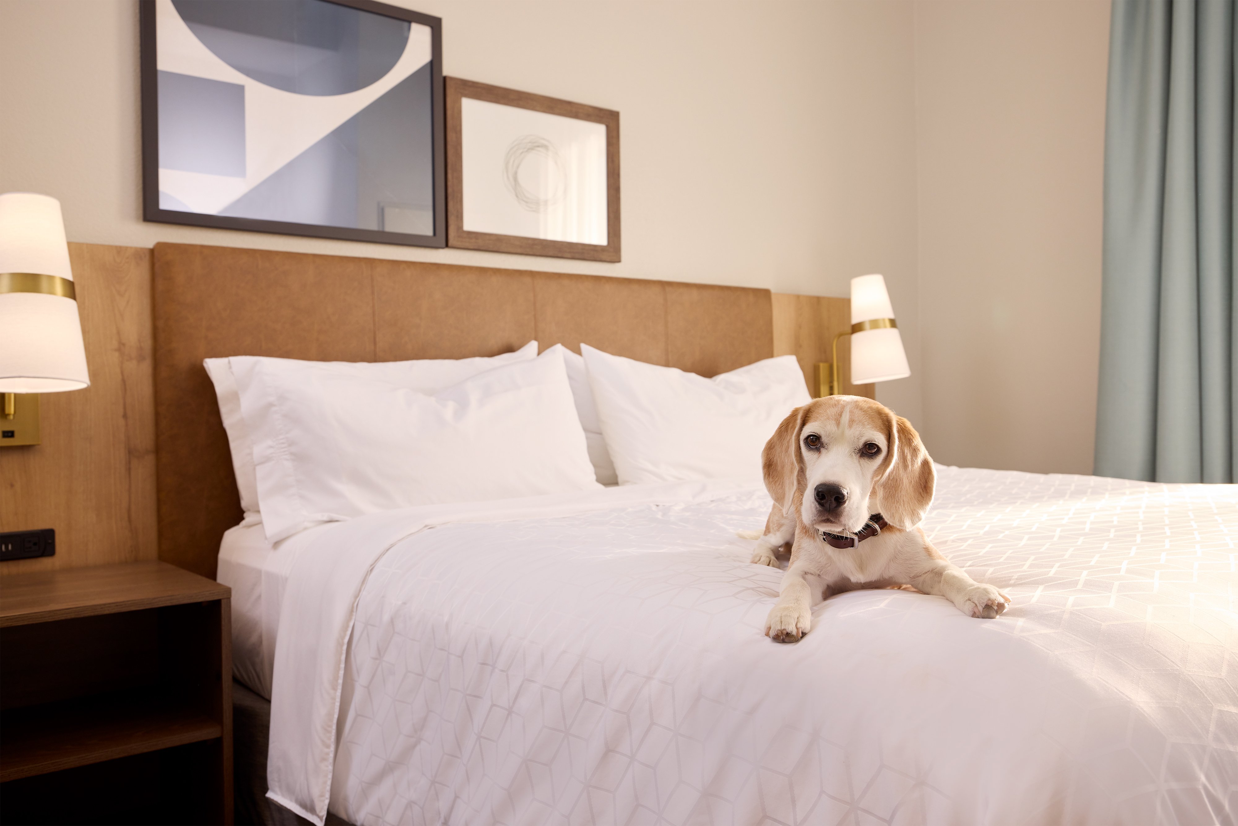 Staybridge Suites Tucson Airport 16/67