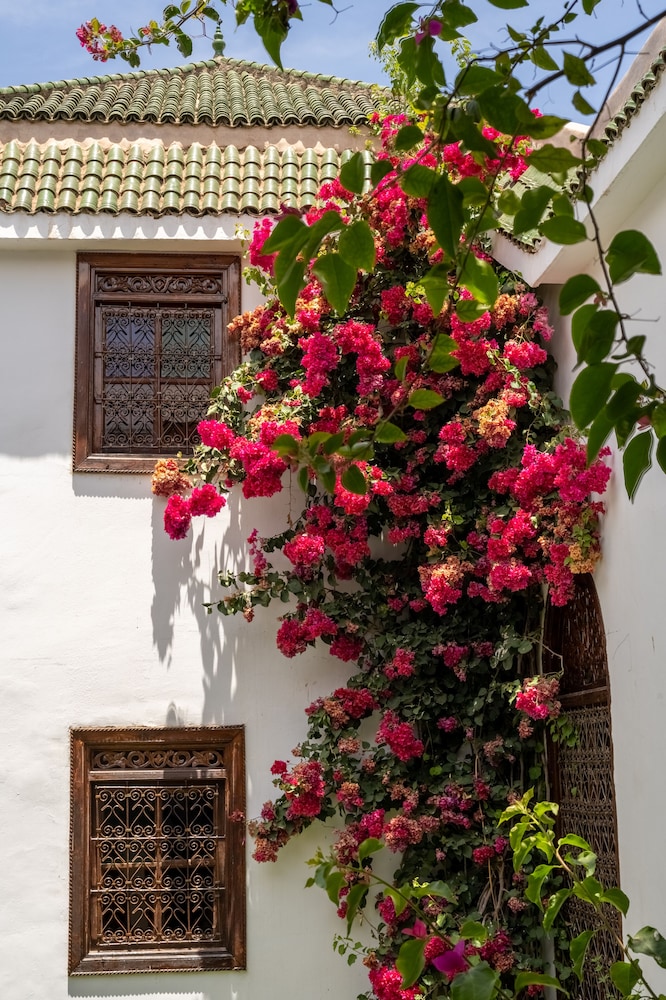 Riad Alma 4/72