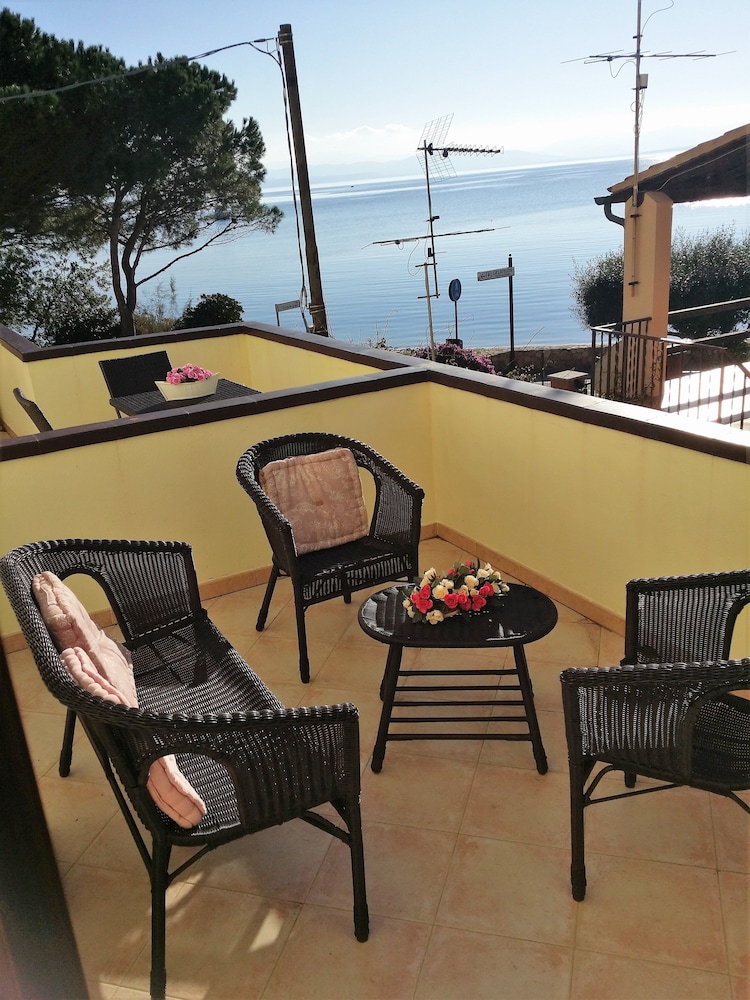 Hotel Tabby 19/31