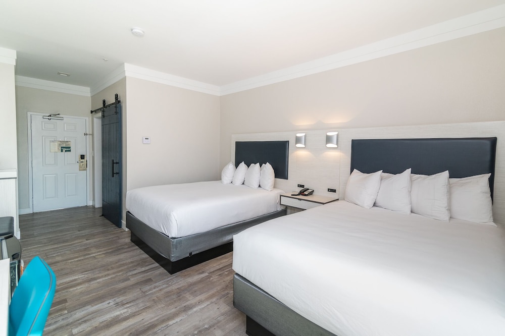 Art Hotel Laguna Beach 19/41
