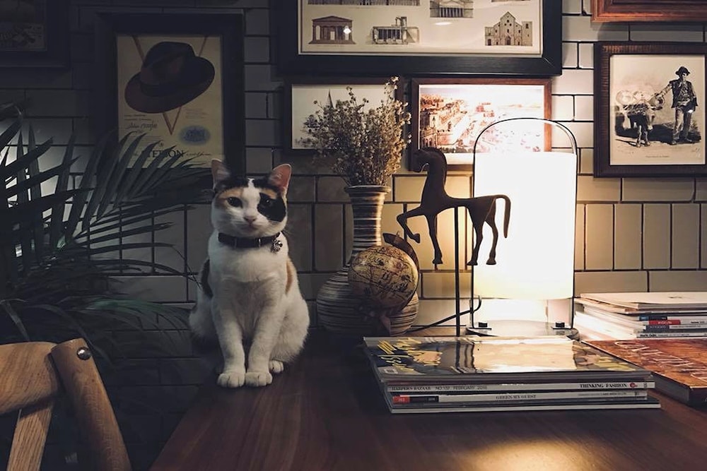 Heyyyy Bangkok - Hostel 11/80
