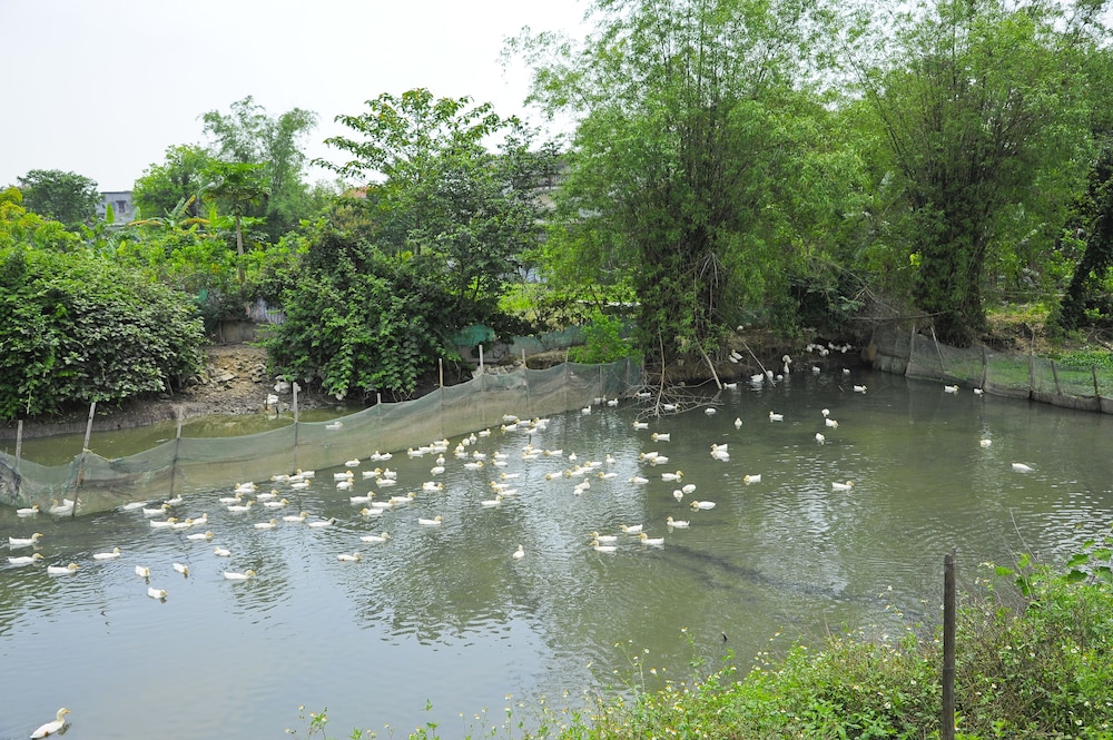 Hoang Giang Homestay 38/50