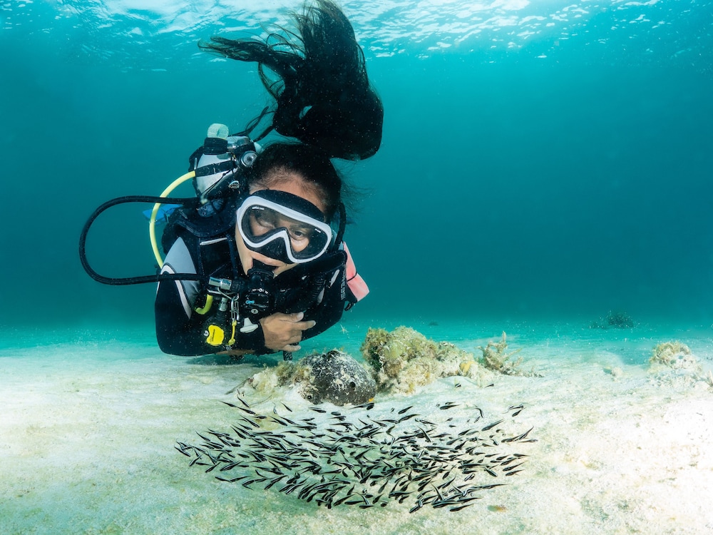 Hippocampus Beach And Dive Resort 34/59