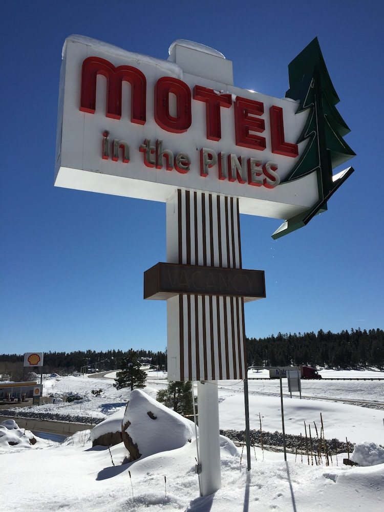 Motel In The Pines 33/41
