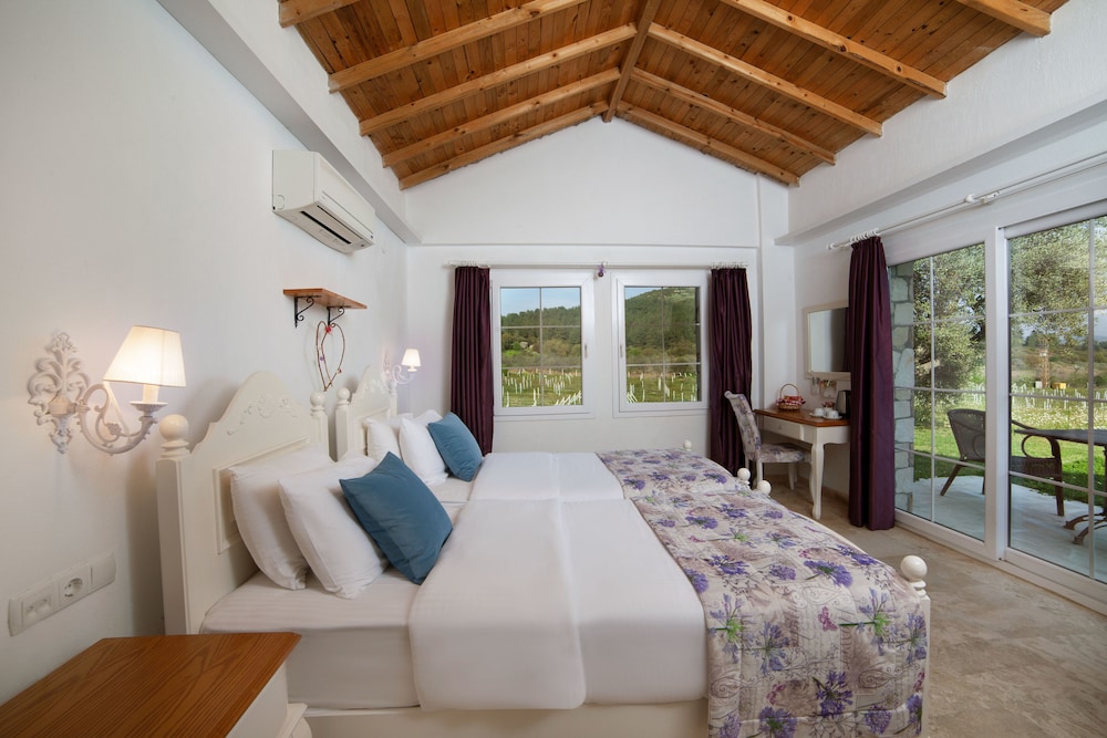 Vinifera Vineyards Hotel 14/50