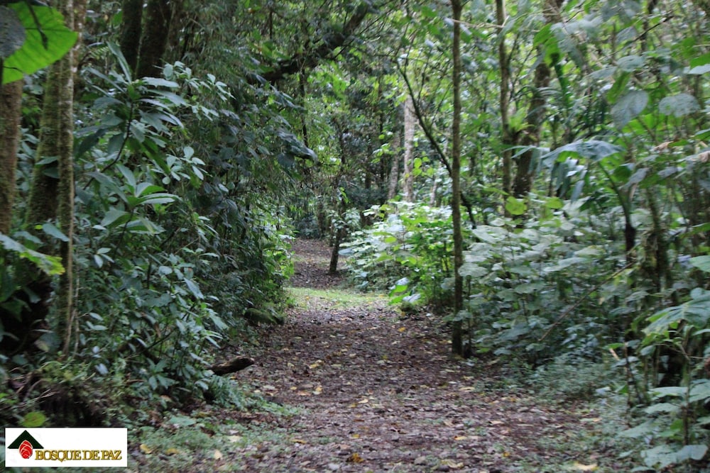 Bosque de Paz Lodge y Reserva Biologica 54/58