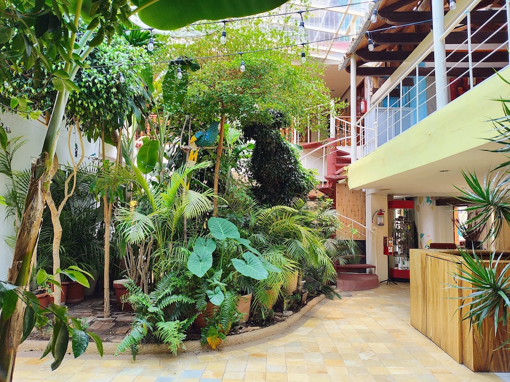 Jardines Del Cerrillo 57/60