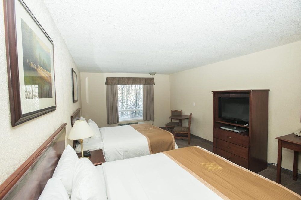 Deluxe, Single, 2 Queen Beds, Kitchenette
