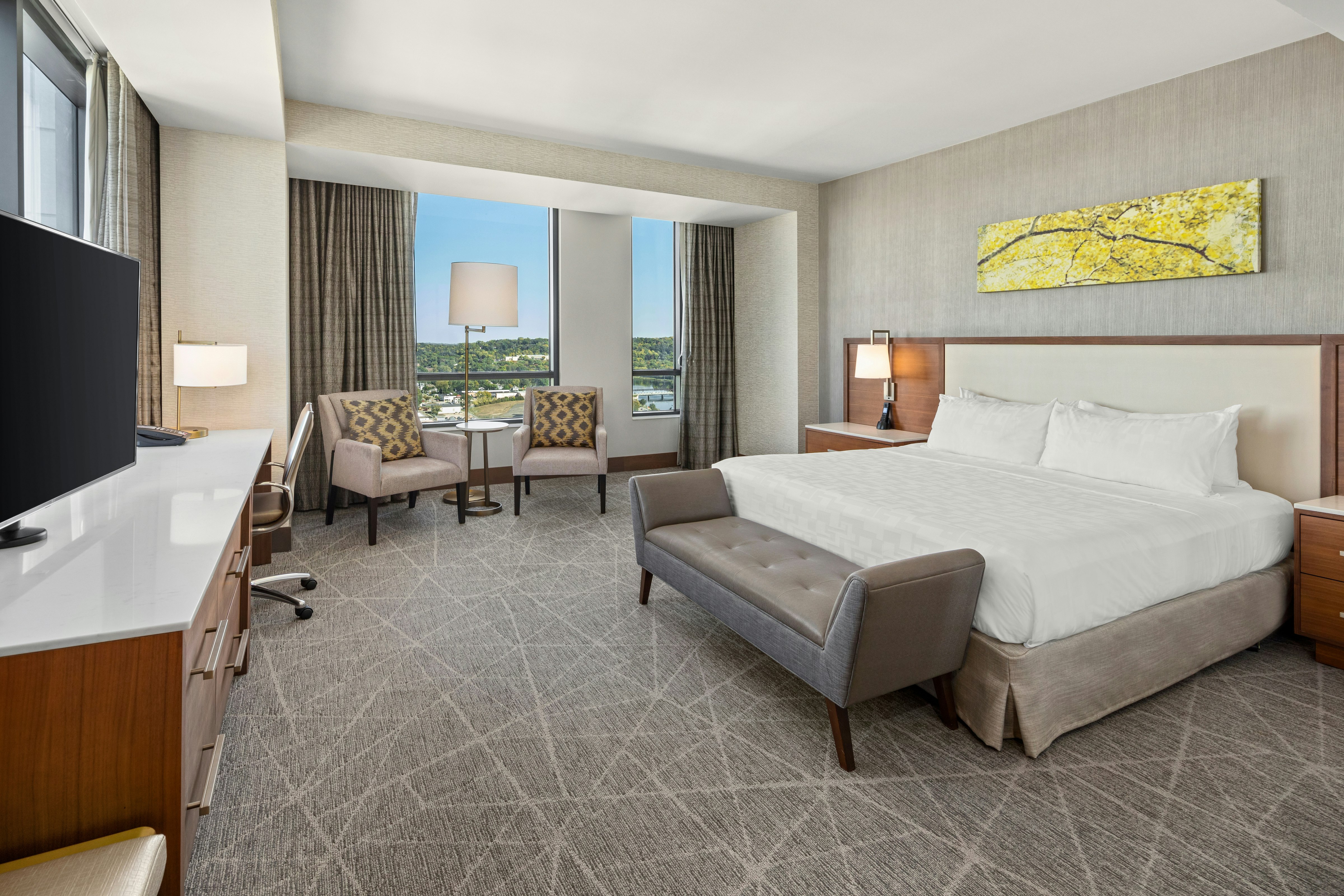 ROOM, KING BED, ACCESSIBLE