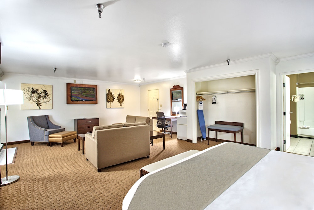 Best Western Mountain View Inn 27/39
