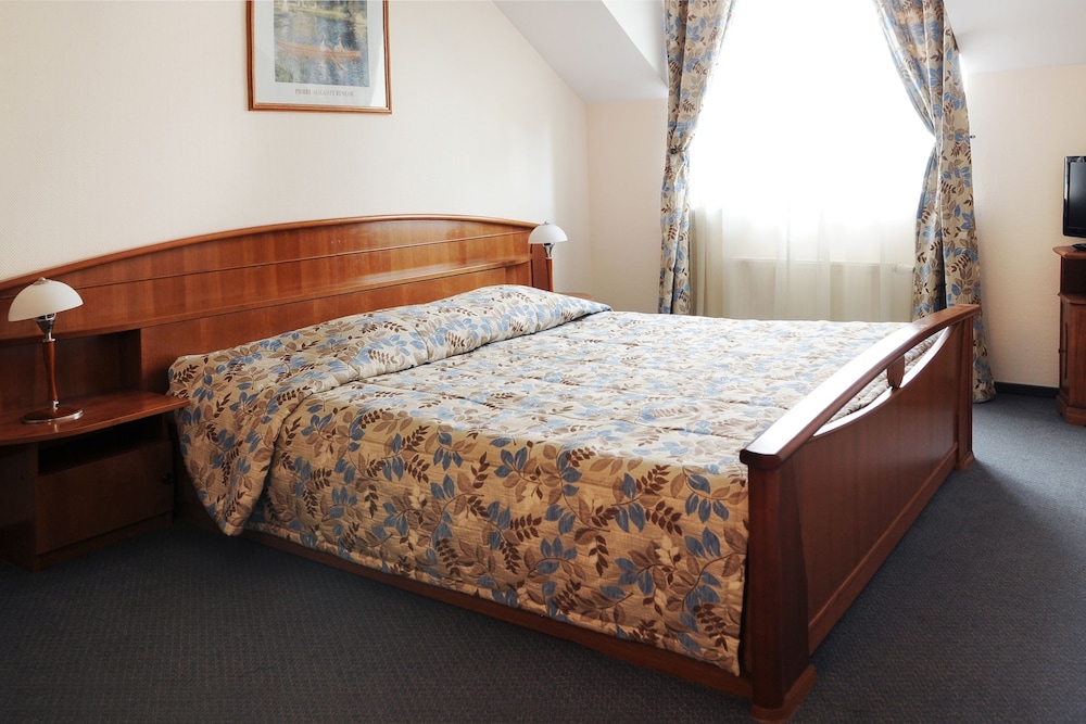 AMICUS HOTEL 17/42
