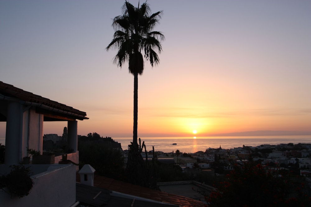 Albergo Villa Diana photo2