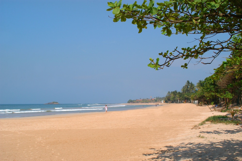Lanka Princess 41/50