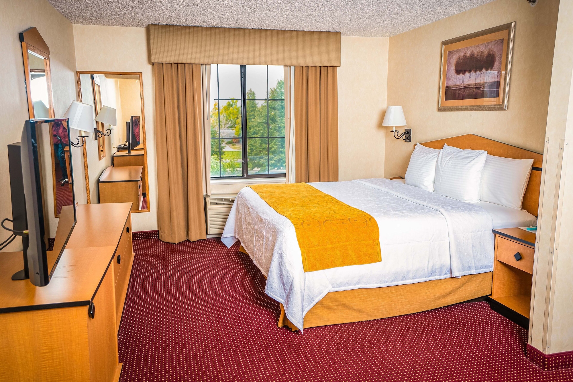جناح ديلوكس بسرير كينج، Americinn By Wyndham Denver Airport 2/4