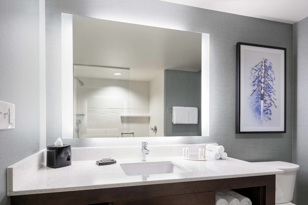 Residence Inn By Marriott Boston Watertown 15/60