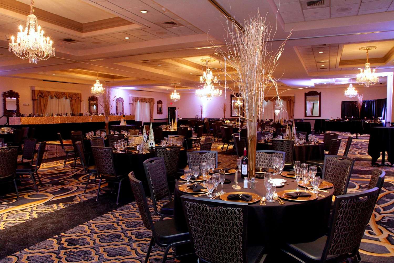 Radisson Hotel and Conference Center Rockford 35/57