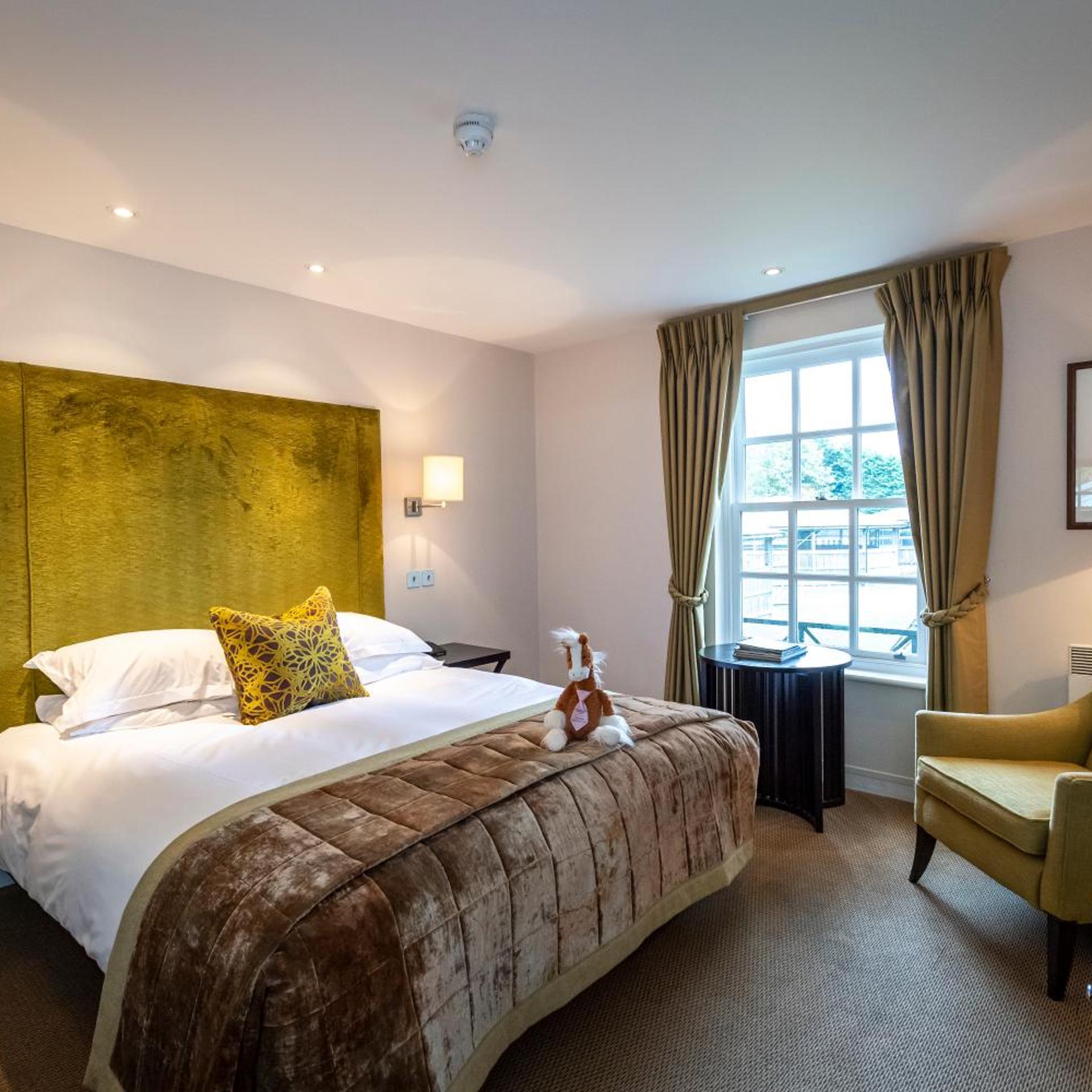 Room, Double Bed