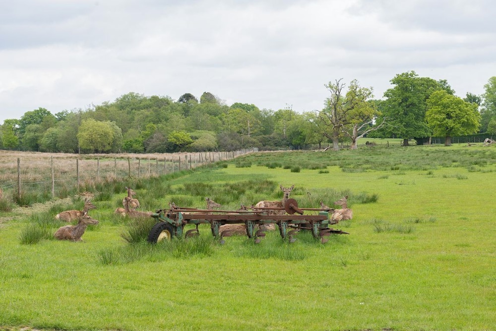 Burley Manor 37/45