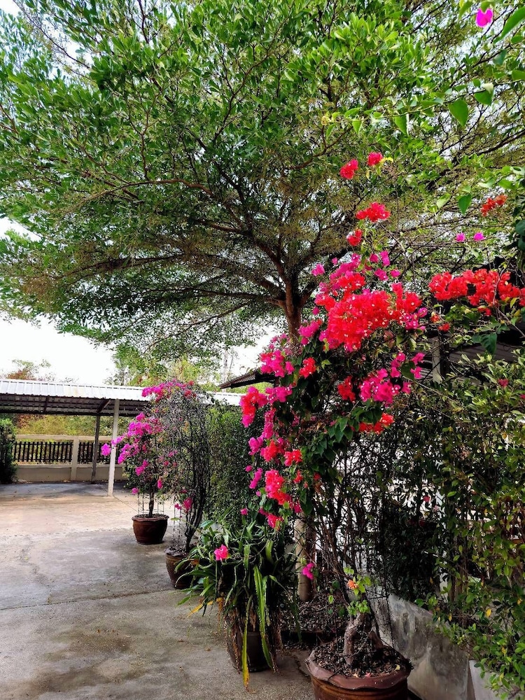 Bumnsaya Place 31/31