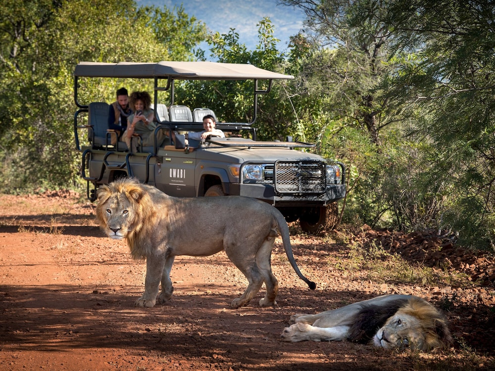 Babohi at Qwabi Private Game Reserve 40/42