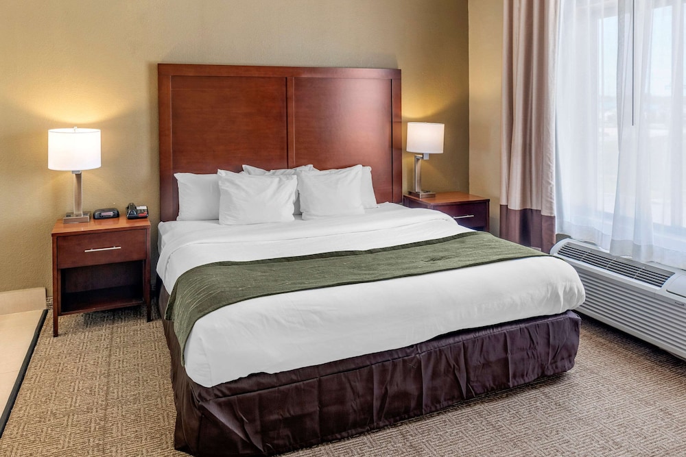 Comfort Inn and Suites Lincoln AL 25/61