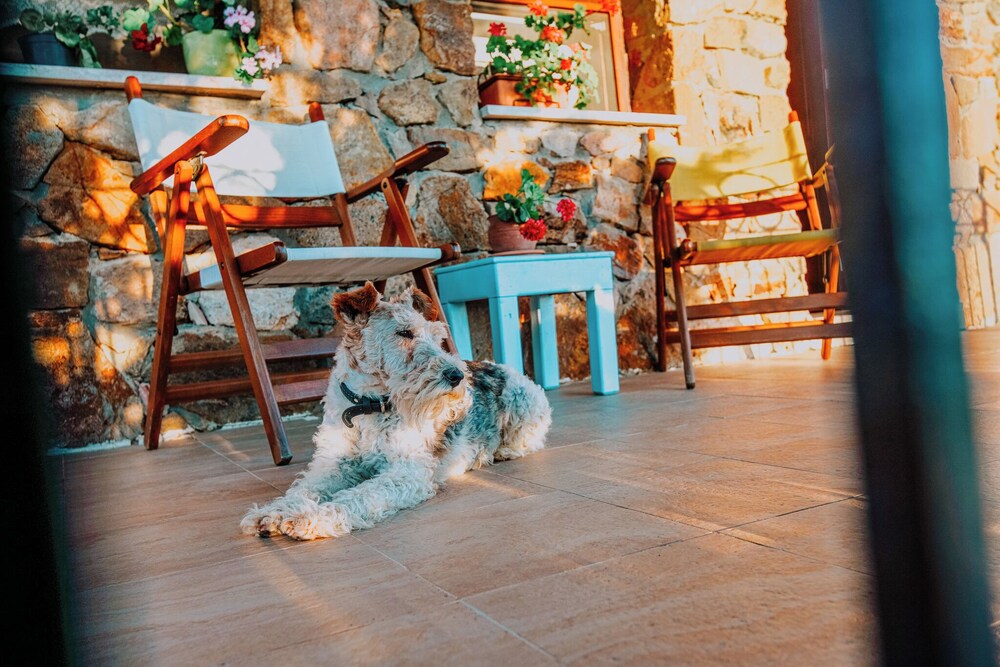 Harmani Tatil Ciftligi 16/20