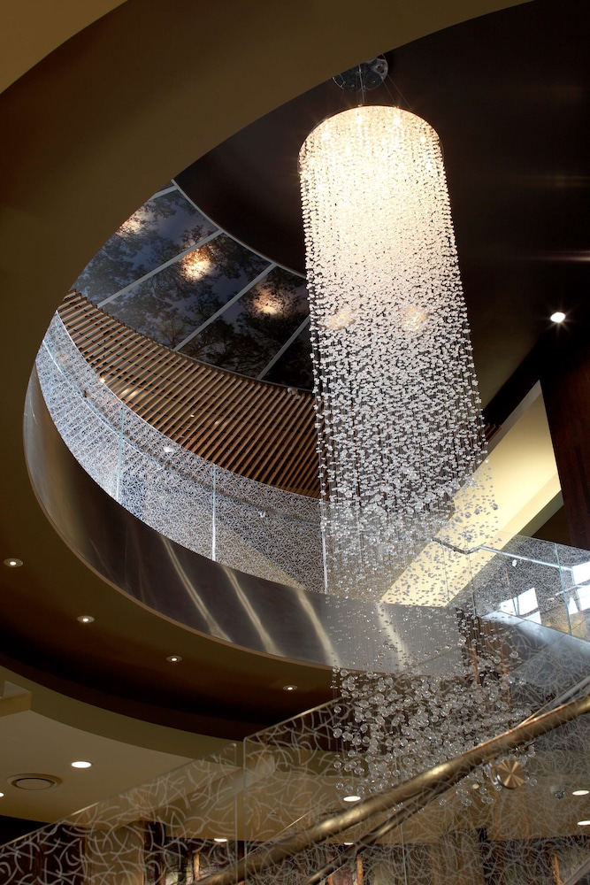 Hyatt Centric the Woodlands 26/63